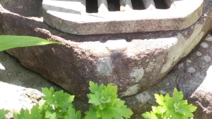 道祖神かな