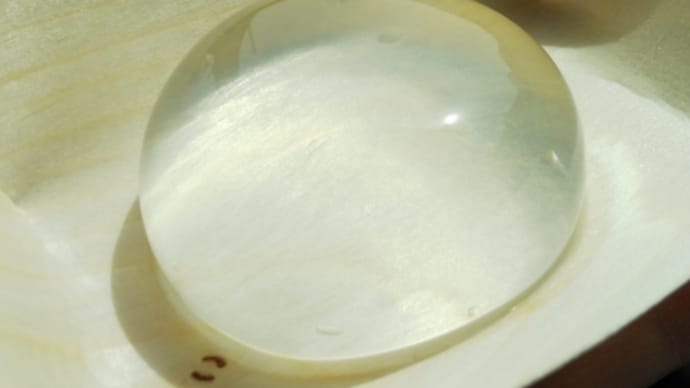 お口が喜ぶ金精軒の和菓子