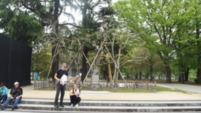 中区:被爆アオギリ2025年4月25日