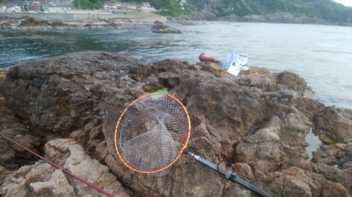 グレ釣り