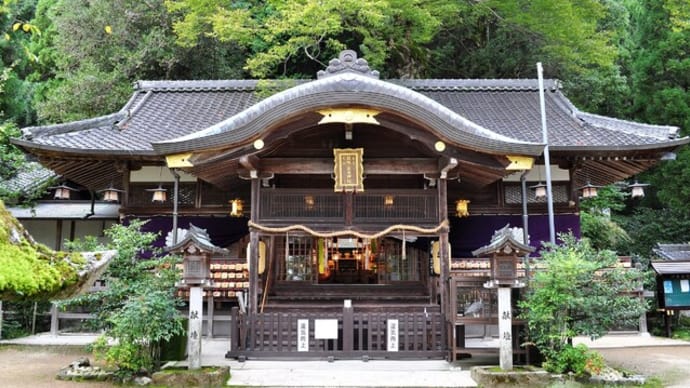 葛城一言主神社の大銀杏