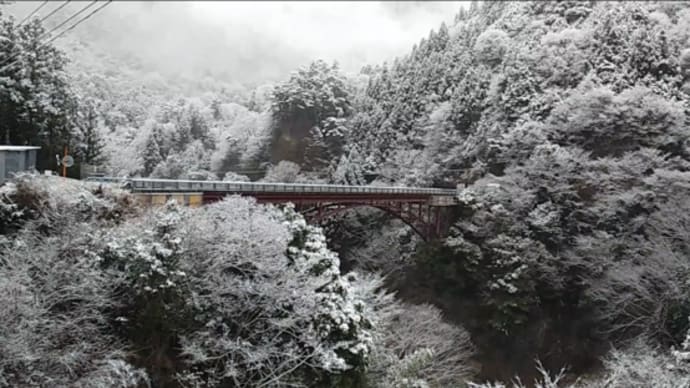 令和4年1月6日・着雪!雪の東祖谷・・・