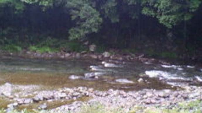 渇水の亀尾島川　今日の雨で・・・