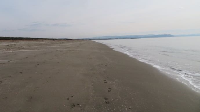いつもと違う年の瀬の布引海岸