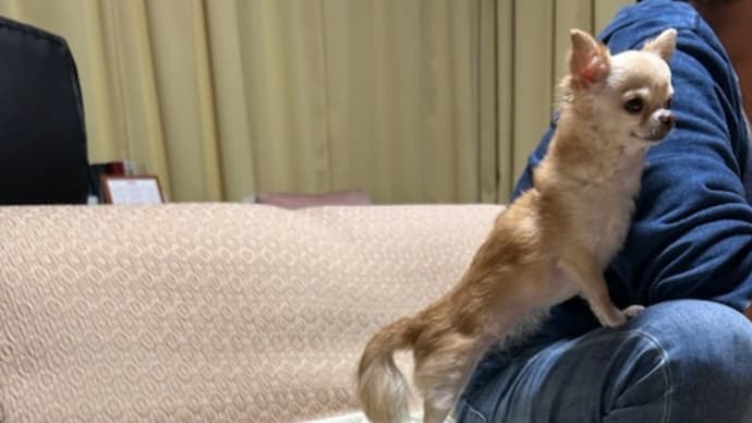 きぃちゃんとことちゃん(*^。^*)