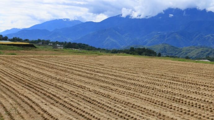 田んぼ風景
