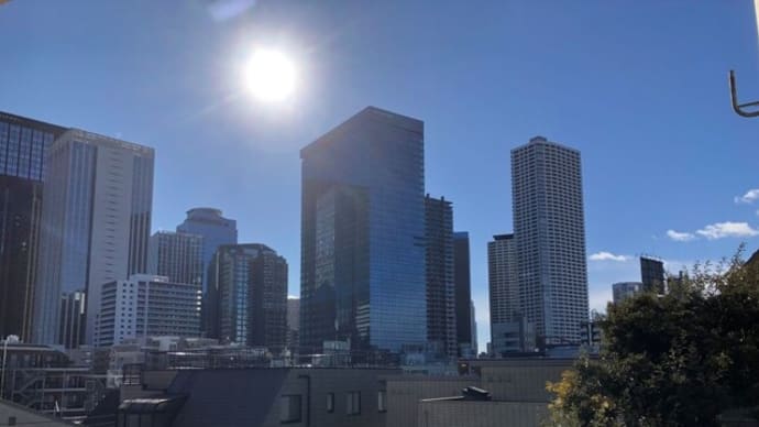今朝は晴れて穏やか