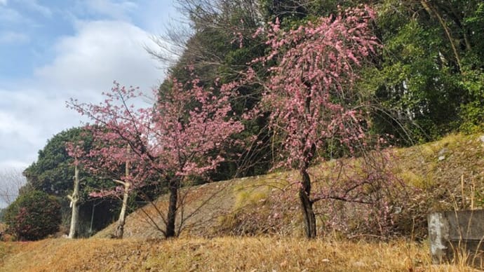 四季を感じる霊園