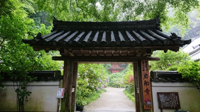 紫陽花満開の岩船寺(がんせんじ)に参拝@2020年6月19日