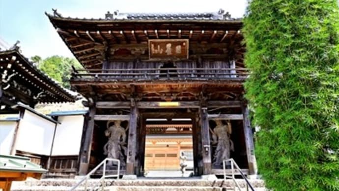等覚寺の枝垂桜