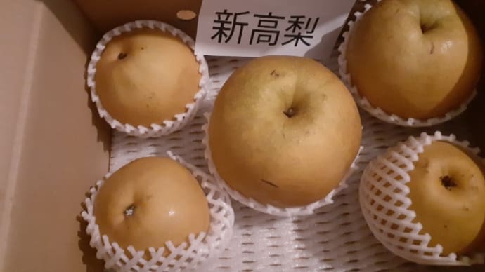 ふるさと納税 熊本の梨