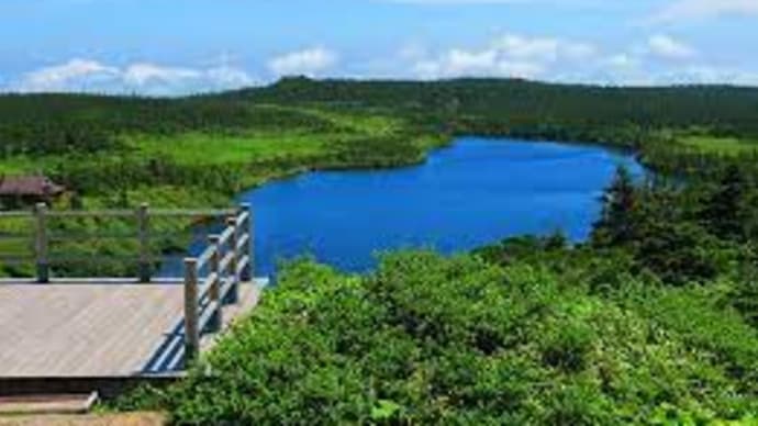 山根知起のおすすめ。