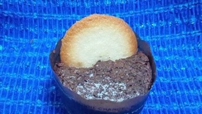 ラング・ド・シャ濃厚ブラウニーで三時のおやつ、まだまだ空腹なんだね:P