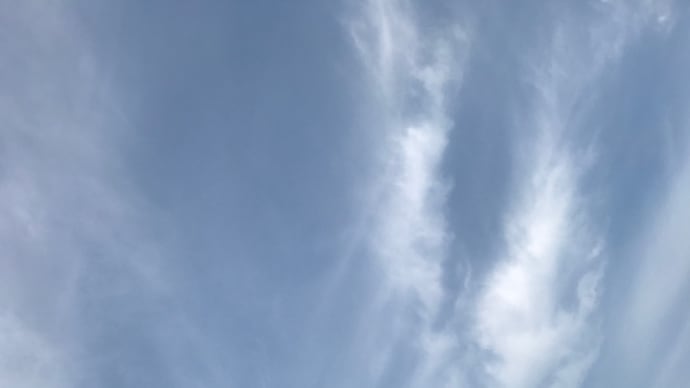 ☆通常生活にも慣れてきたかな☆