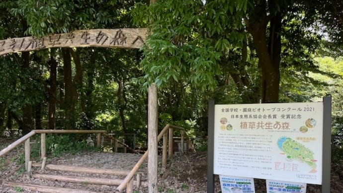植草共生の森で流しそうめん 2024/7/7
