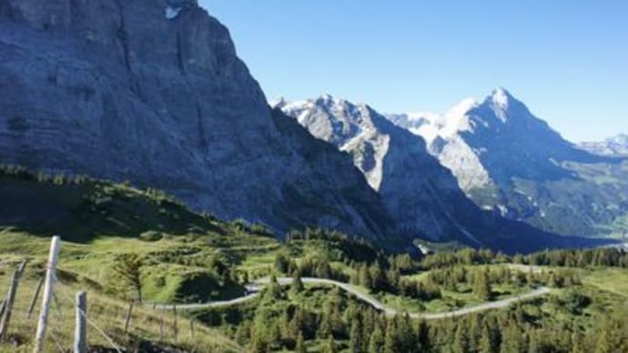 Grindelwald(3)