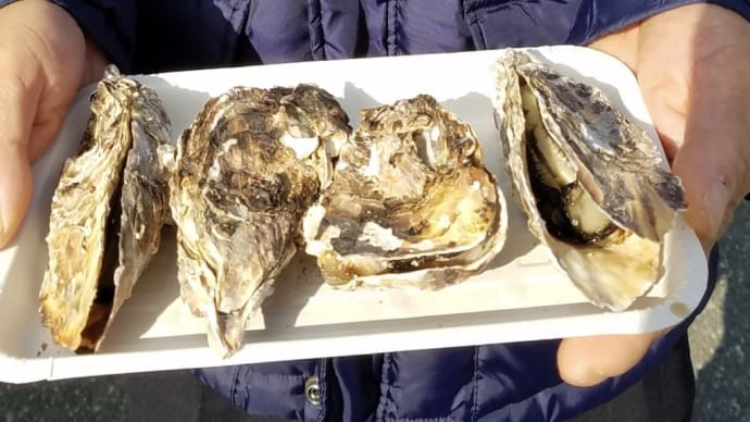 牡蠣を求めて播磨灘沿岸へ