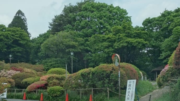 外れ続きの岡谷プチ旅行