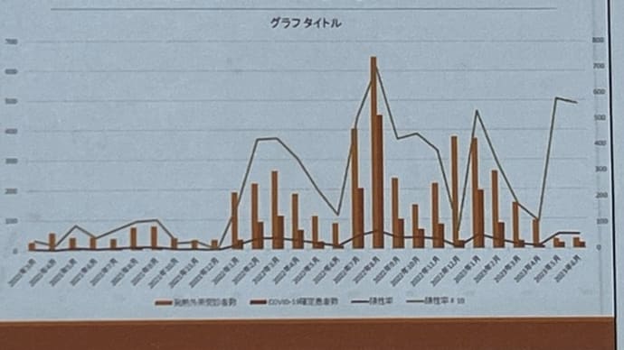 今日の発表内容