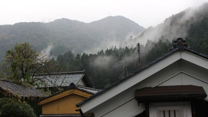 一日中雨