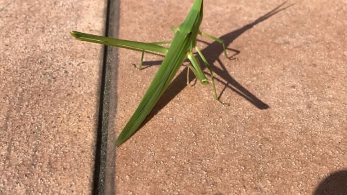 お盆前の片付け