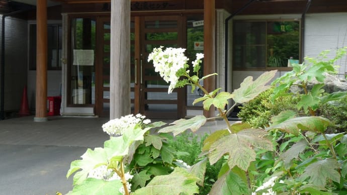 都幾川の畔で・・フルートの調べを聞いた