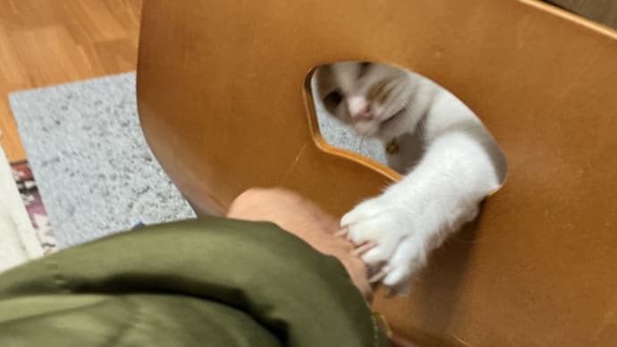 争おうと思って生きている人ってどうなの?