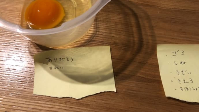 プラス言葉の実験