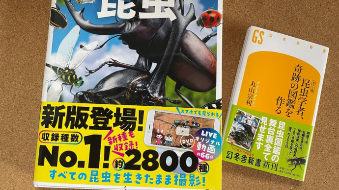昆虫学者、奇跡の図鑑を作る　　その1
