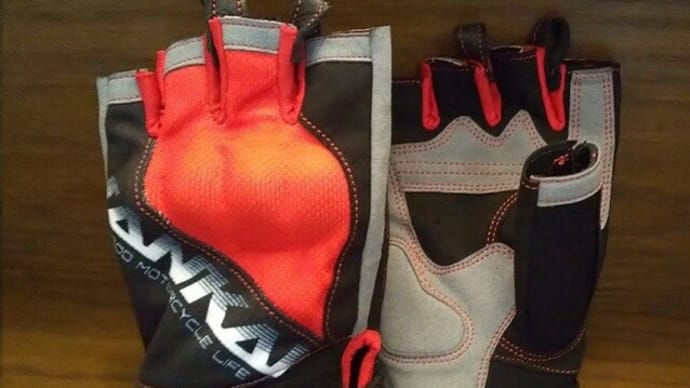 ナンカイハーフィンガーグローブで裏拳、バシッ!?