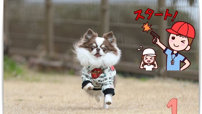 ふしぎちゃんのひとり運動会🏃♀️🎊