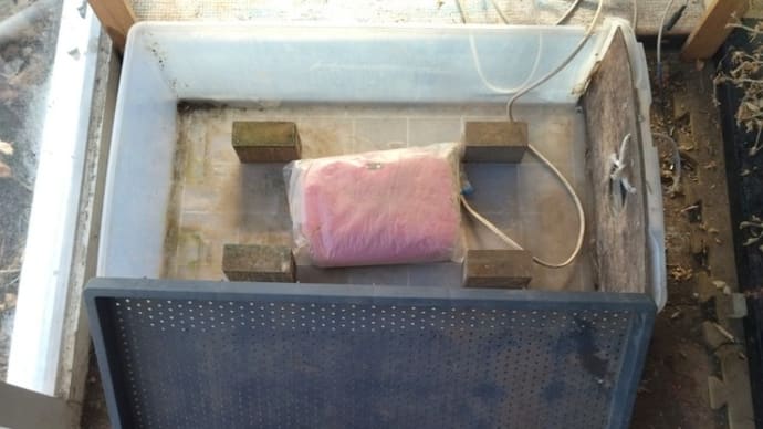 今春の育苗の準備