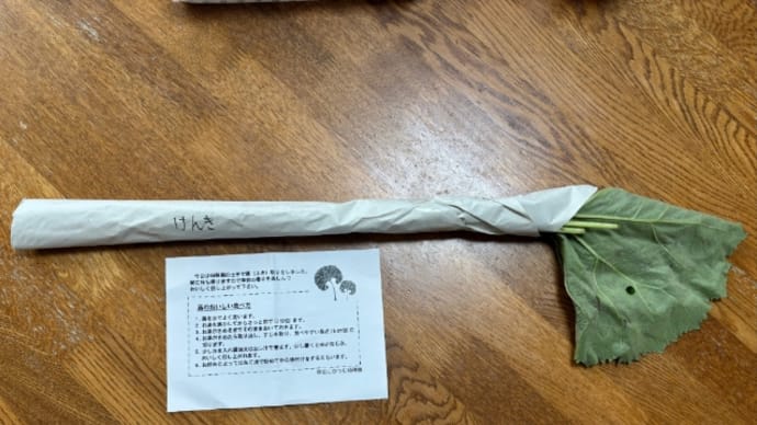 最後です…♪