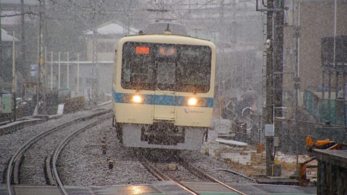 2025年3月19日 小田急 小田原線 8064F 雪
