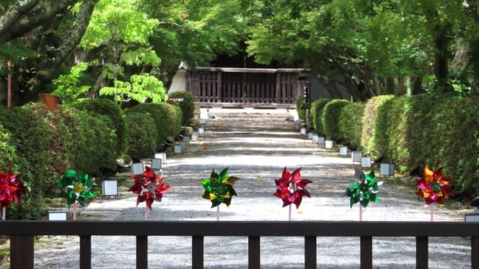西教寺　風鈴参道を行く