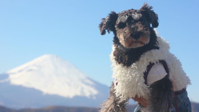 隣のおばちゃんと箱根