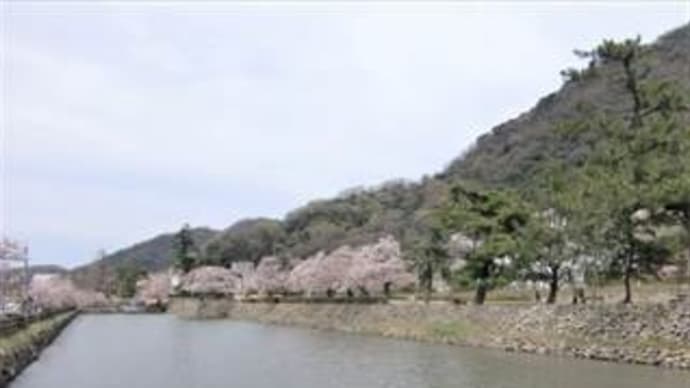 鳥取城跡:久松(きゅうしょう)公園 in 鳥取市東町