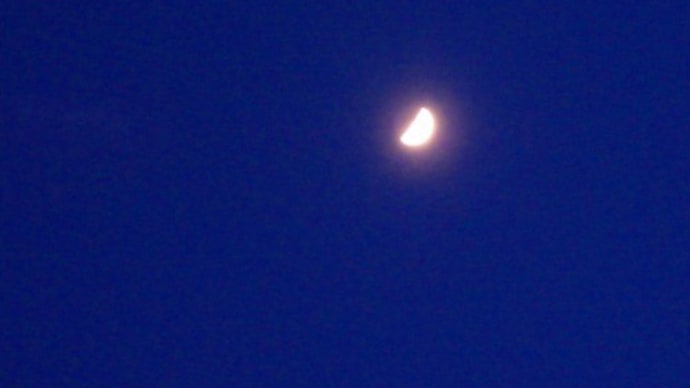 月と木星が並んでいます。