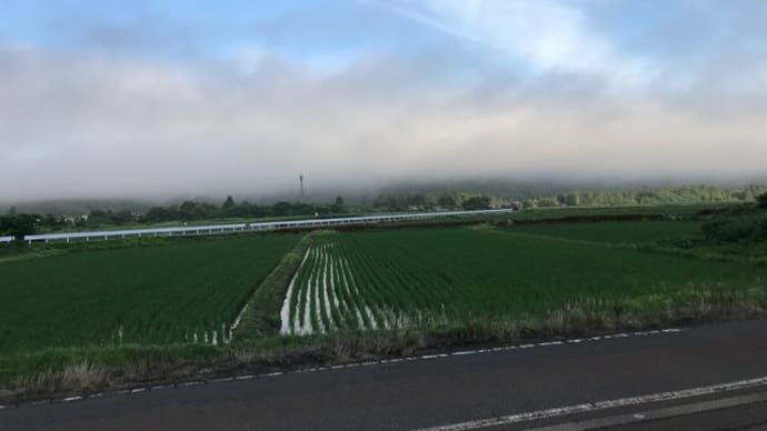 雲