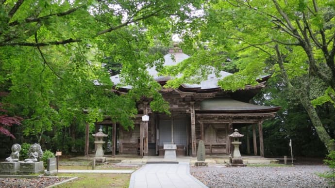 2025年5月4回目極楽寺・極楽寺山・屋代コーストレッキングと蛇の池のスイレン