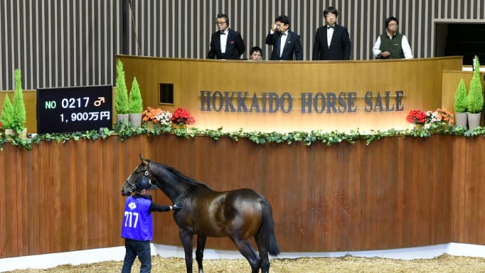 セレクションセール出身馬【アルクトス(Arctos)】が「さきたま杯(Jpn2)」を優勝