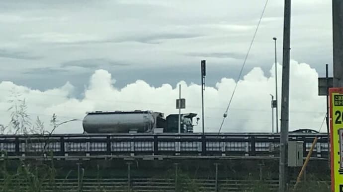 利根川の土手の真実とイクラの醤油漬けを♪