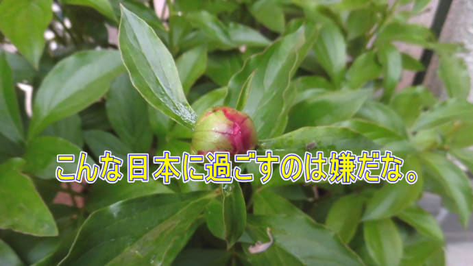 こんな日本に過ごすのは嫌だな。
