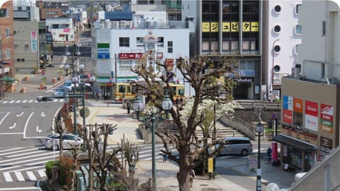 弘法山公園の桜めぐり(秦野駅~弘法山コース)