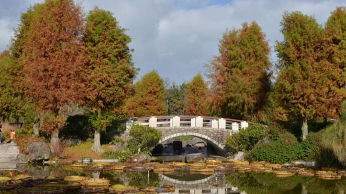 晩秋の草津水生植物公園