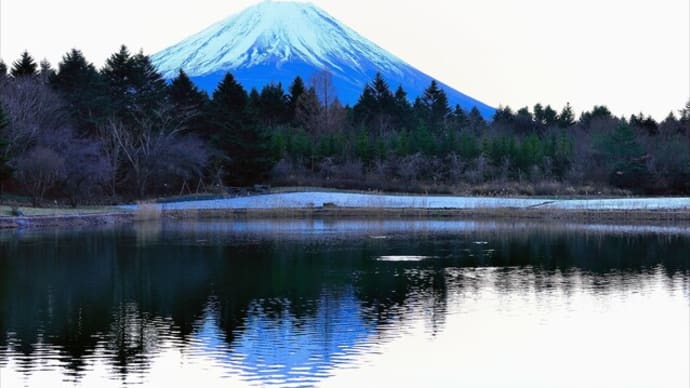 「富士本栖湖リゾート」(竜神池)からの 富士山