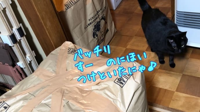 古着deワクチン第3便