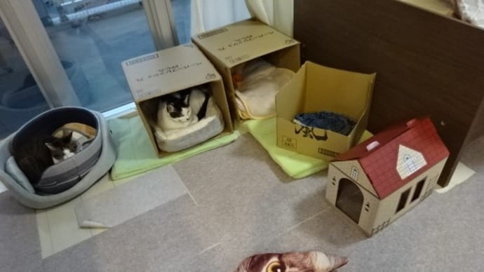 やまがパークのちびズ団地