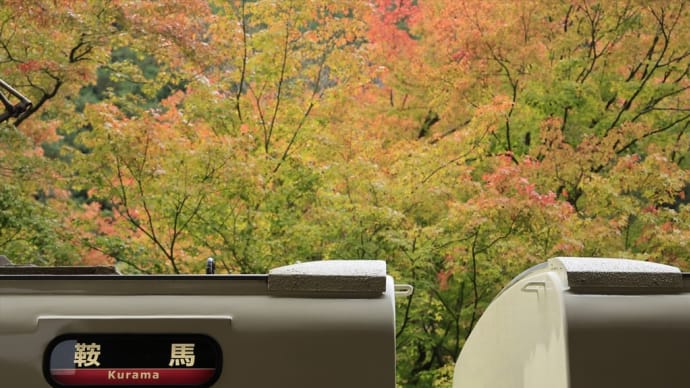 紅葉の叡電へ