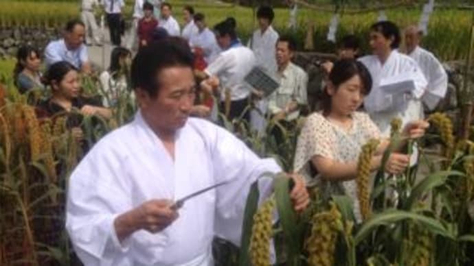 國広さんの新嘗祭献上の「米と粟」抜穂祭